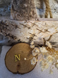 Lettre  N