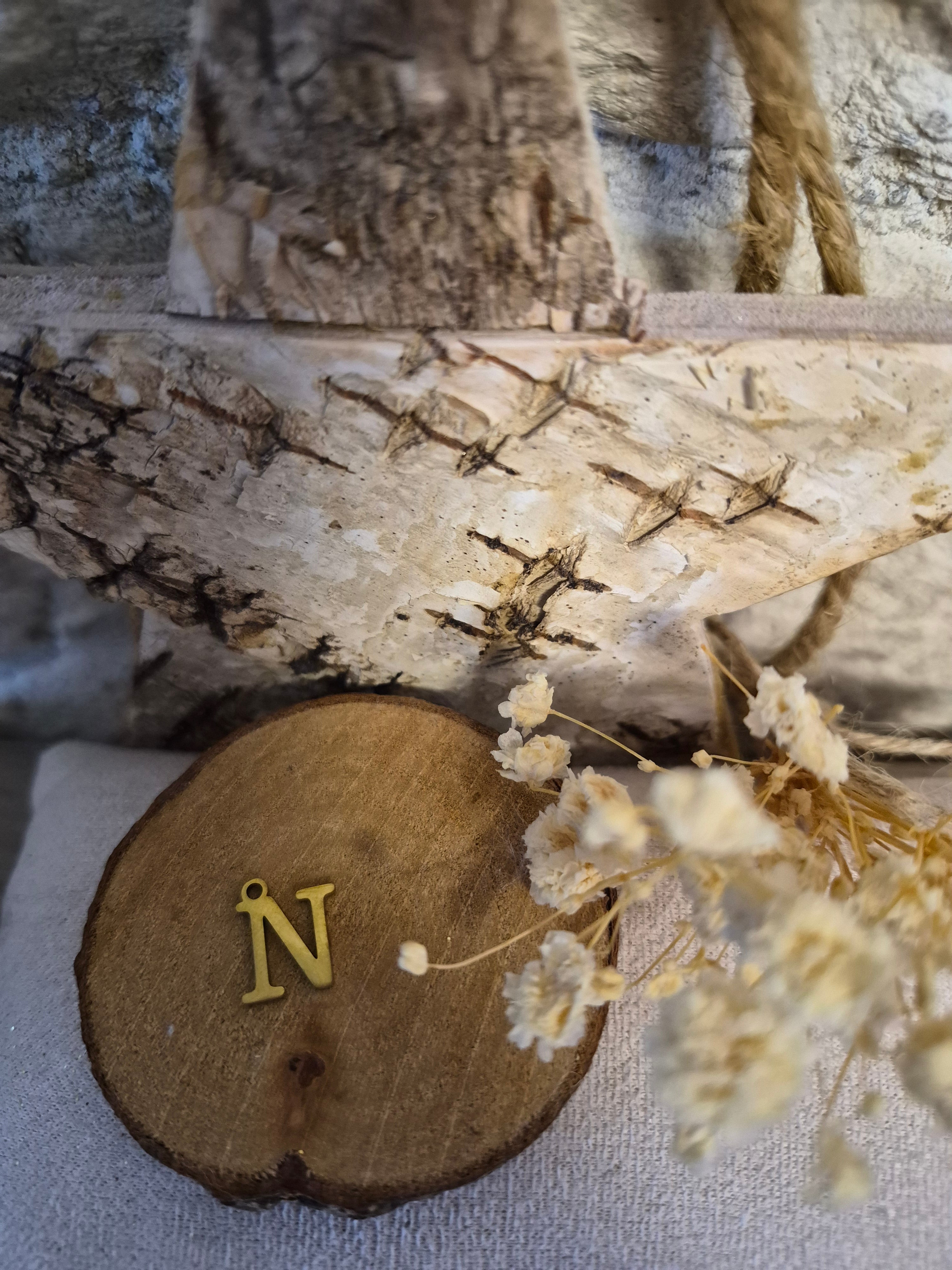 Lettre  N