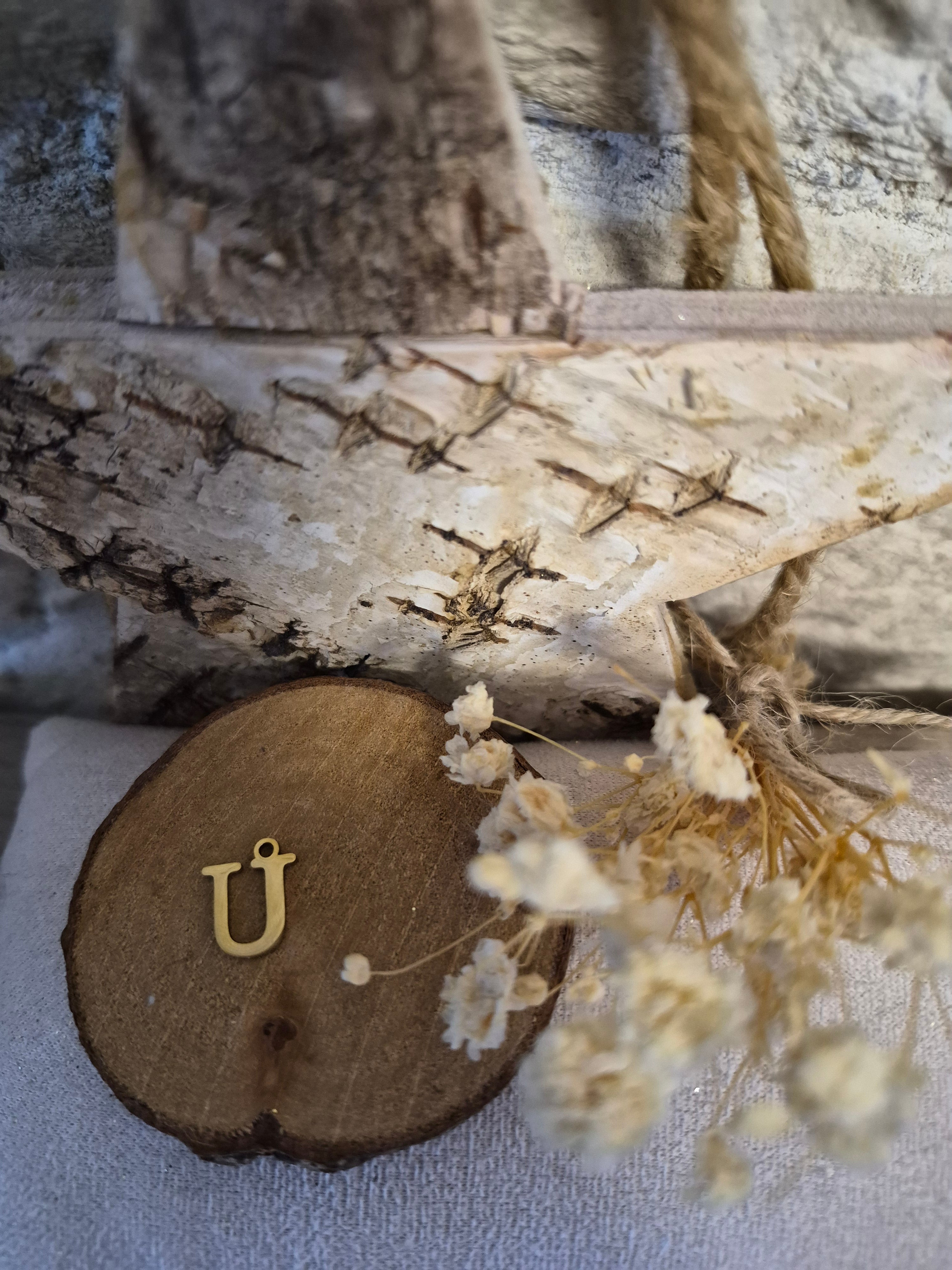 Lettre  U