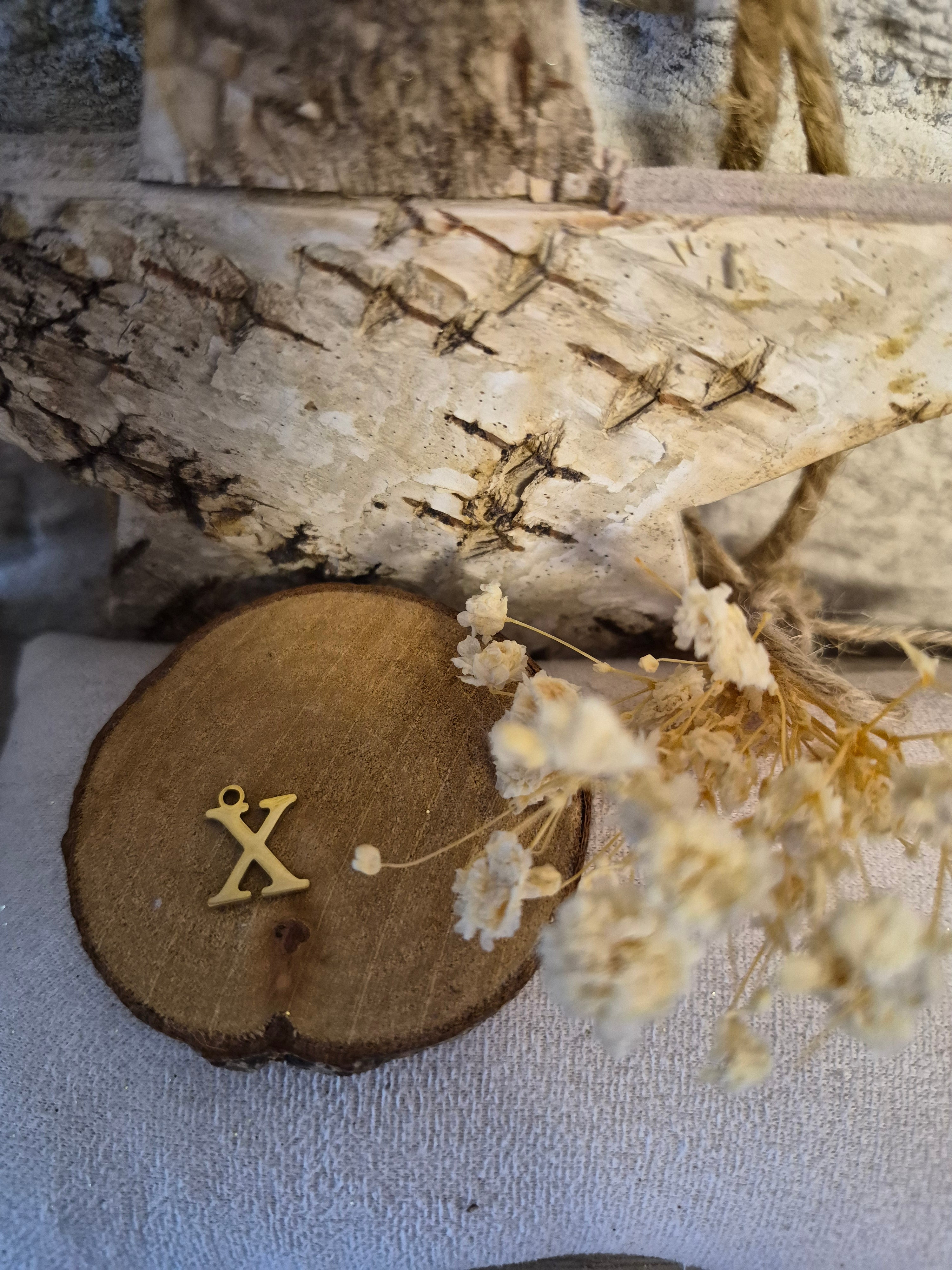 Lettre X