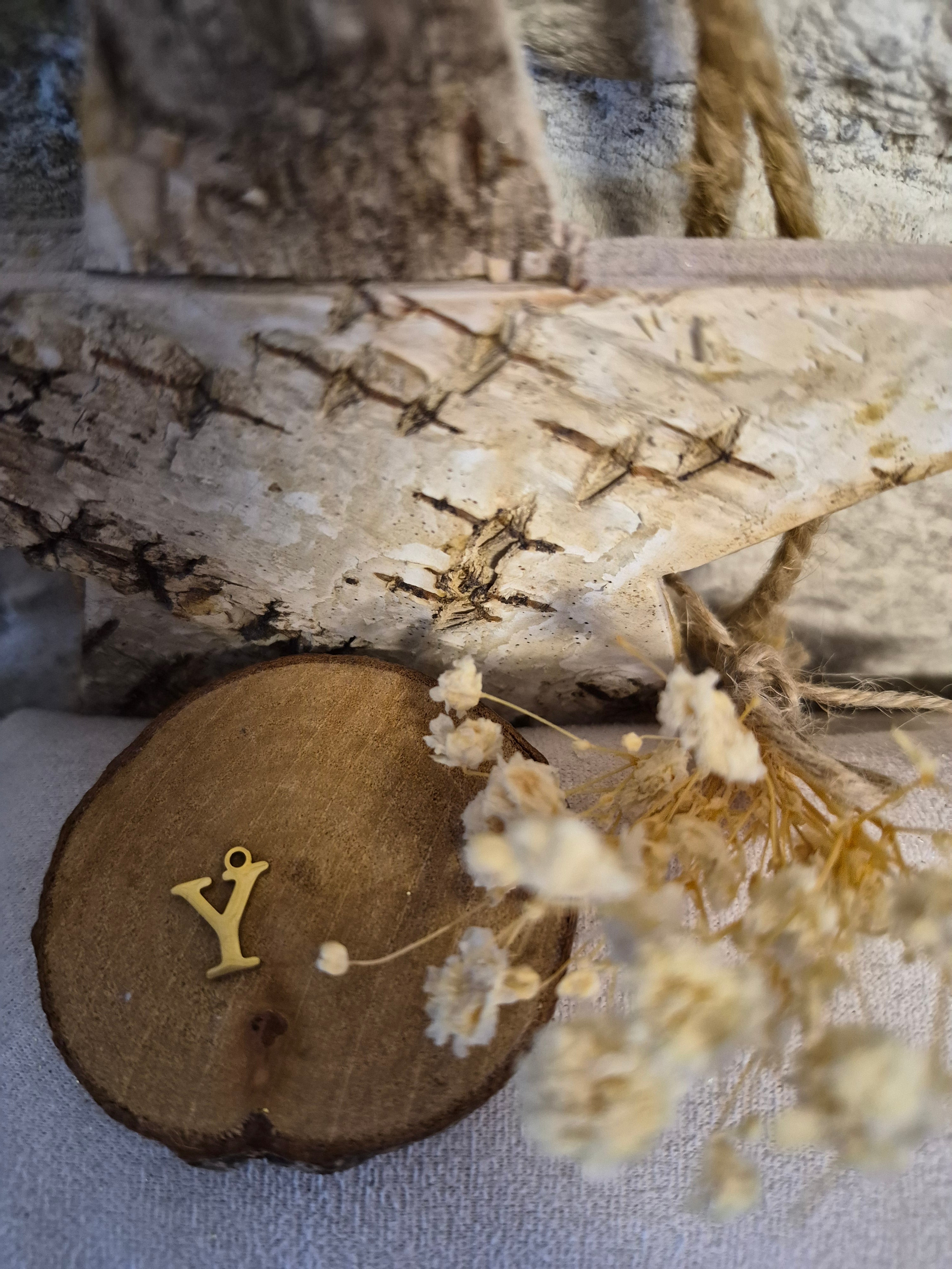 Lettre Y