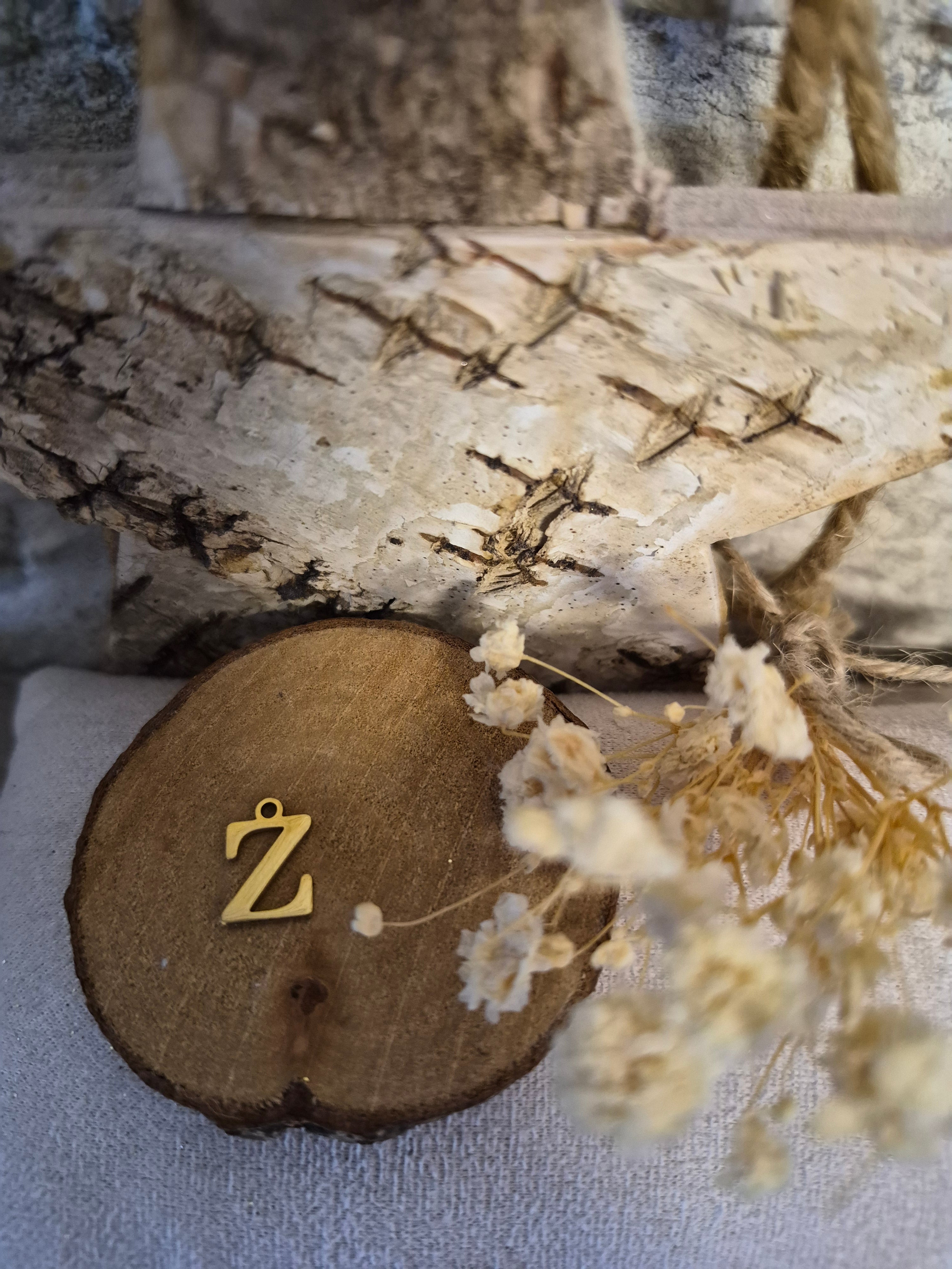 Lettre  Z