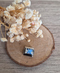 Charm tortue